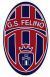 logo FELINO